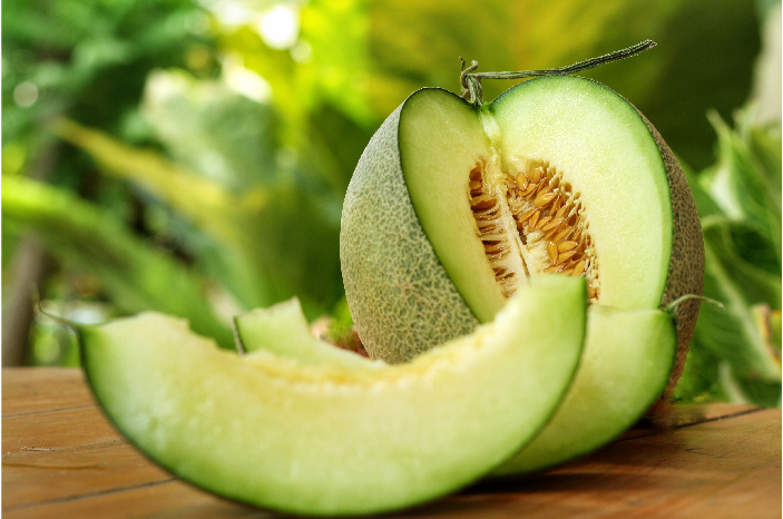 Kandungan Buah Melon Sangat Baik Untuk Kesehatan