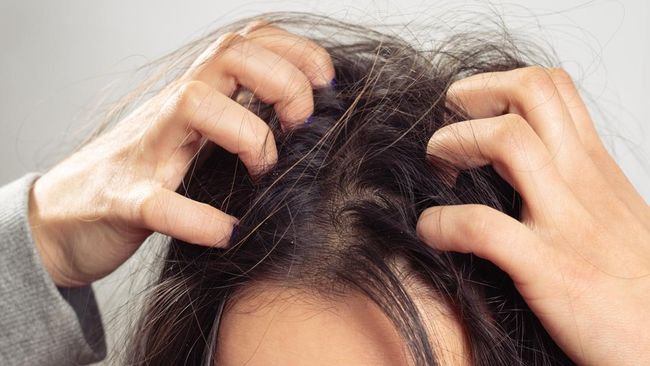 Minyak Zaitun Memiliki Sejuta Manfaat Untuk Kesehatan Rambut